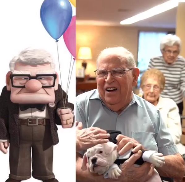 93岁奶奶恶搞27岁孙子,一夜爆红!1300万网友围观:奶奶太坑了