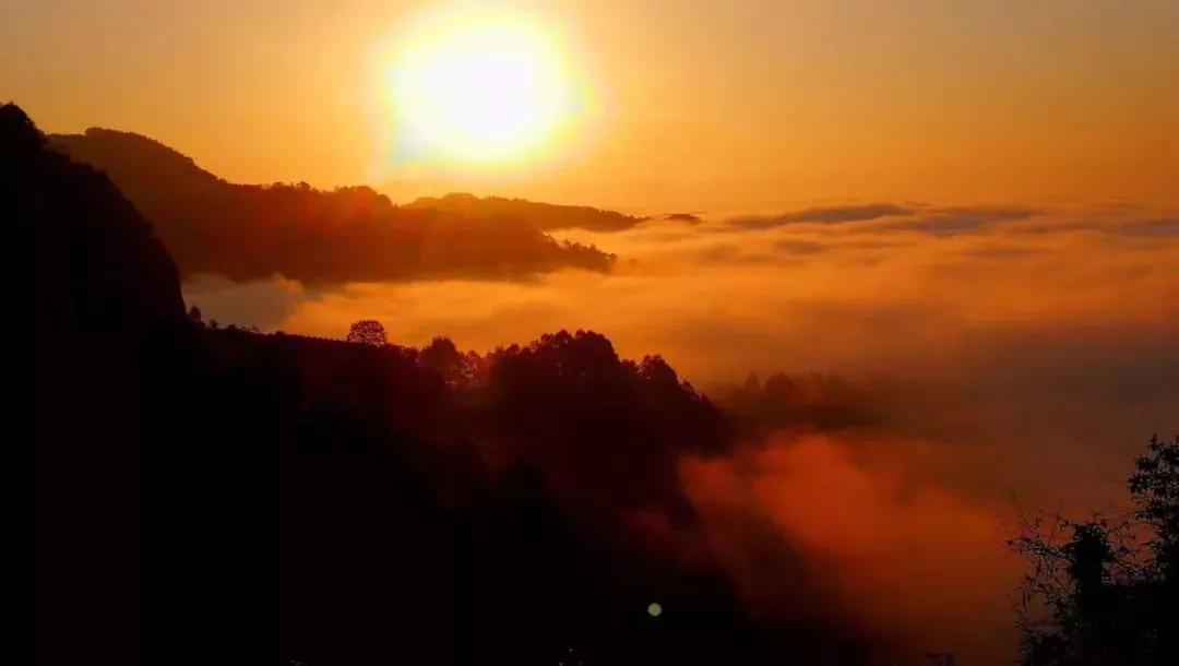 重阳登高赏金秋,重阳逍遥游