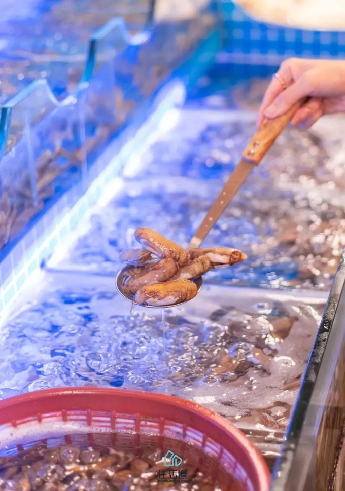 2023年厦门自由行热门攻略,厦门春节旅游攻略自由行最佳路线