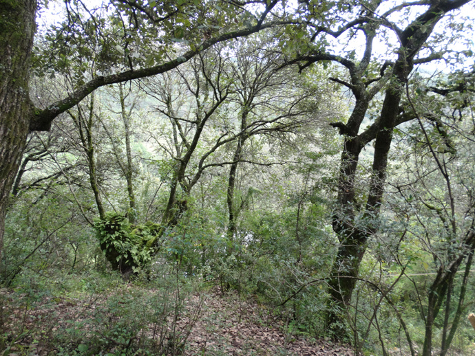 拉市海被坑怎么投诉,拉市海被坑怎么退钱