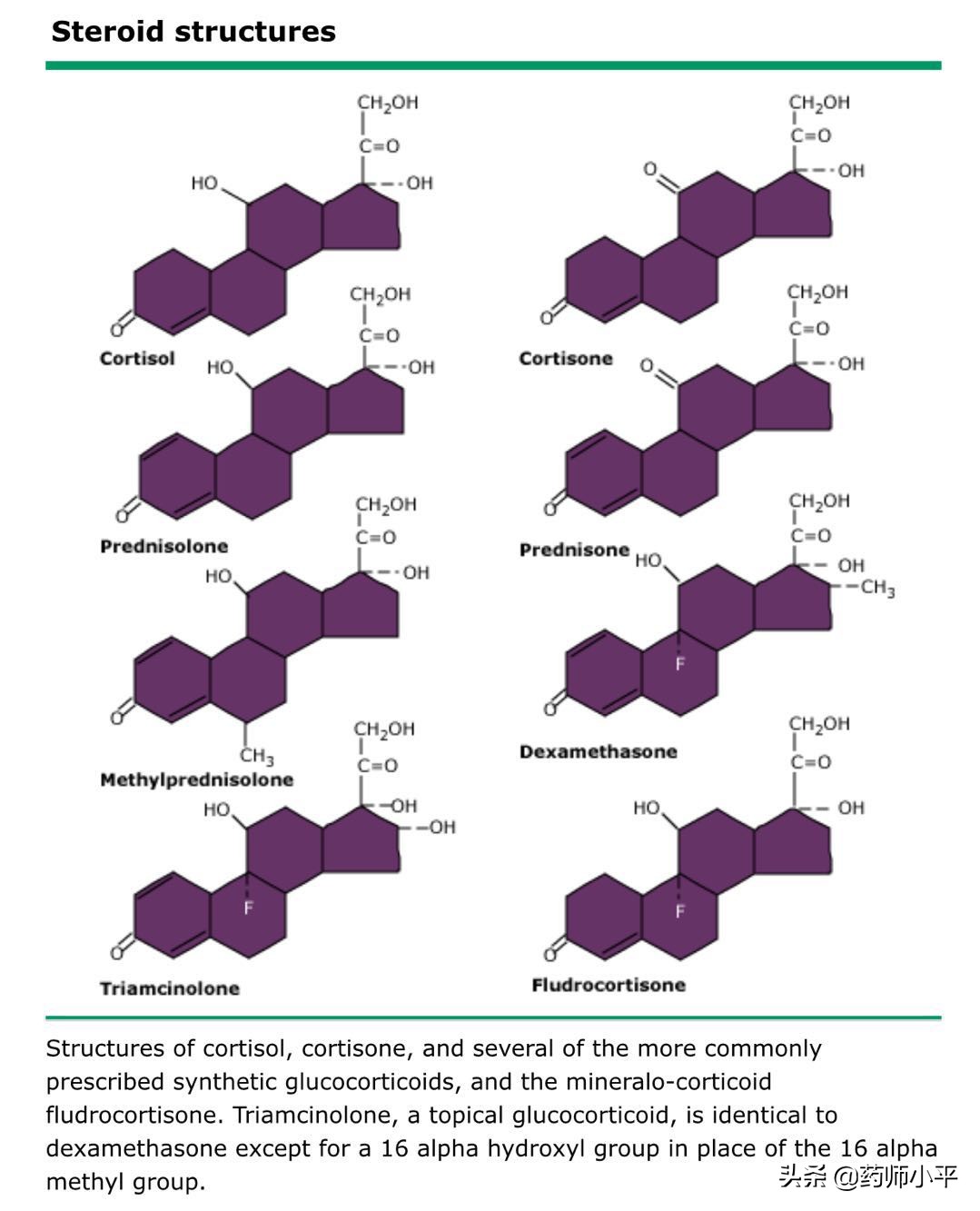 什么是激素,激素都有哪些种类和作用