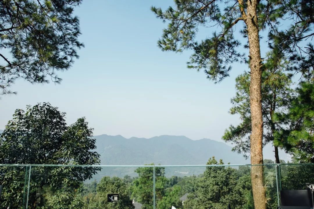 放弃一线城市年薪30万回老家,放弃30万年薪隐居深山