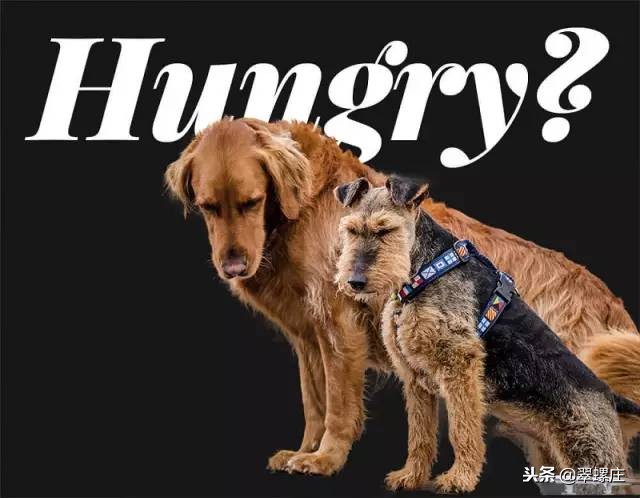 ps抠图新手纯小白教程从零开始,ps抠图最快又完整的详细操作步骤