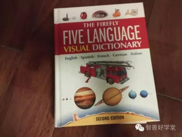 干货国语版,干货满满的背诵知识