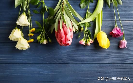 罗永浩带货坑位,罗永浩带货风险有多大