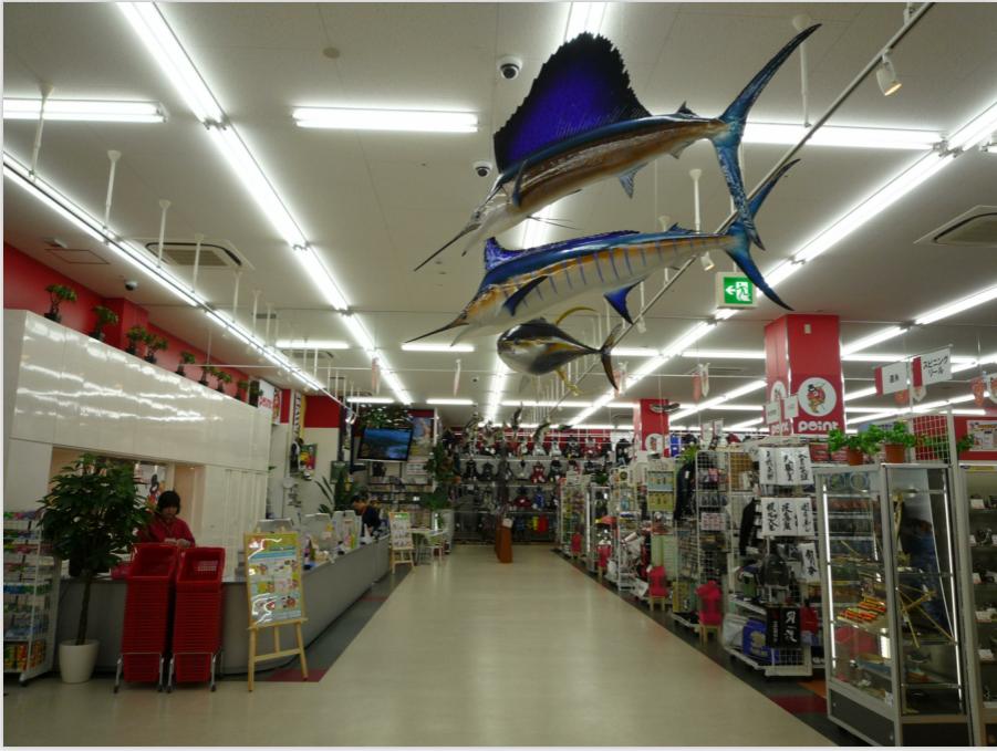 日本进口钓具专卖店直播,日本最便宜的钓具店