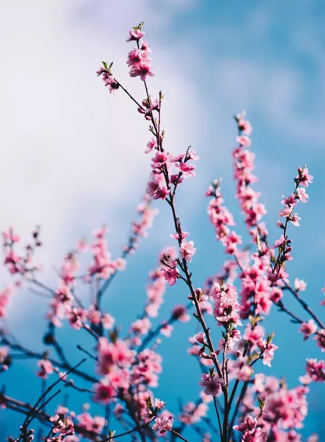 男孩11岁青春期家长怎样引导,青春叛逆期的孩子让家长头疼