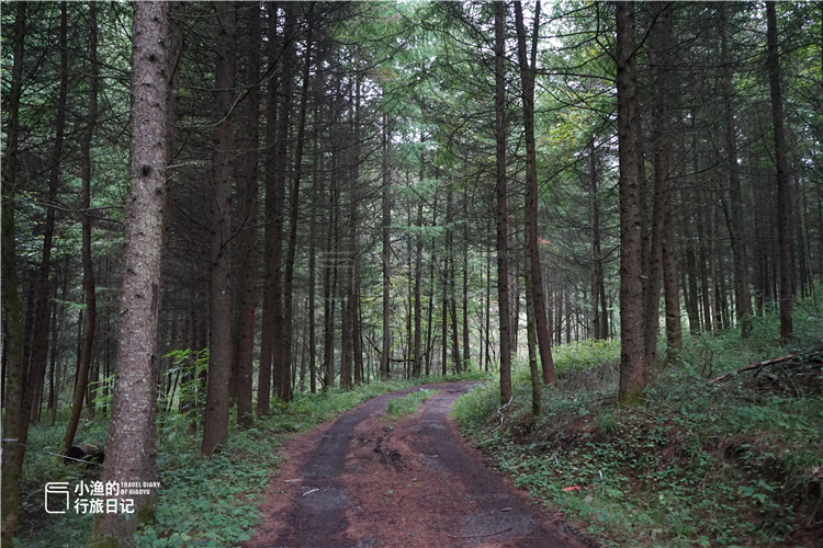 秦岭山谷中的桃花源,秦岭深处一座美丽的世外桃源
