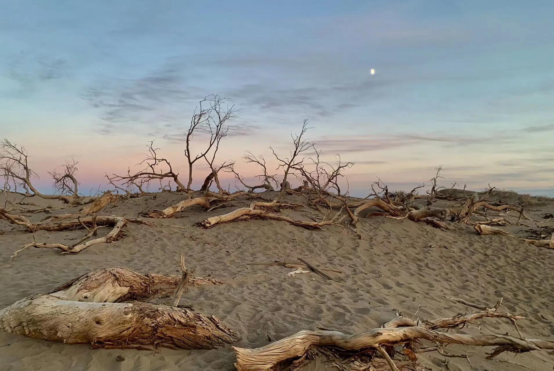 2021秋，噩梦大西北