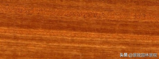 木纹最好看的木材图片,各种木材纹理图片与名称