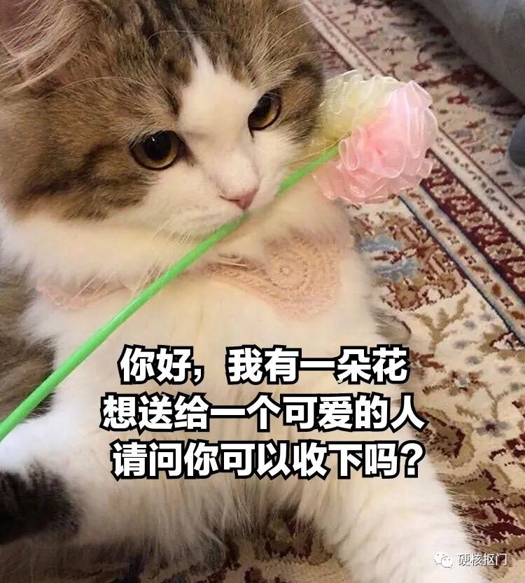 七夕给男朋友送什么惊喜,七夕礼物送男友排行榜实用