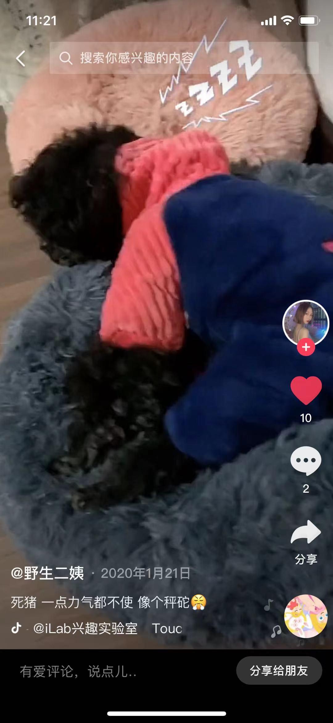 广州SG亮碧思 Francine传销诈骗组织，小心入坑