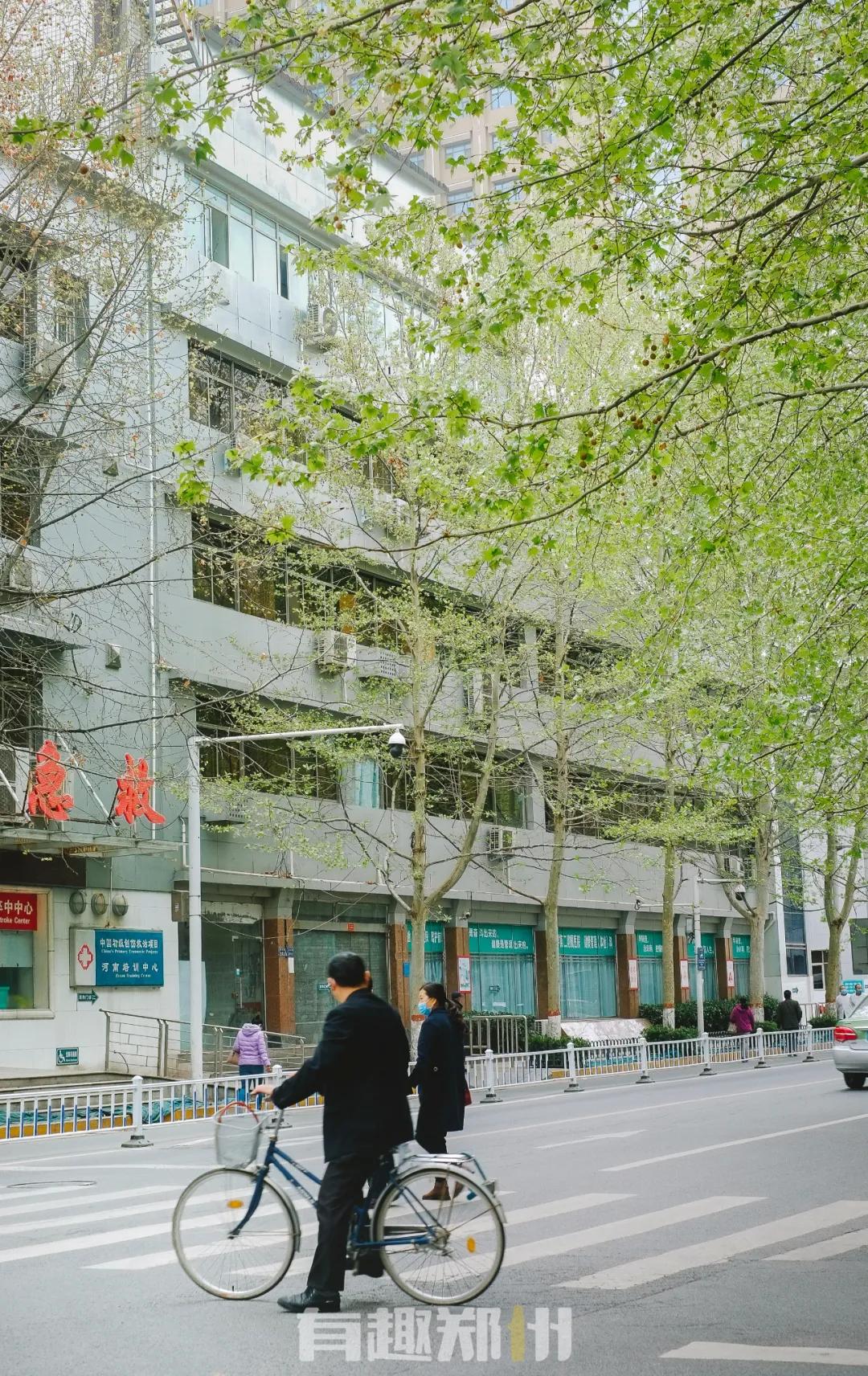 春雨落在叶子上,春雨落在树叶上的详细描写