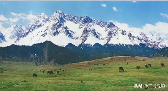 全新疆旅游景点有哪些,新疆带沟的旅游景点