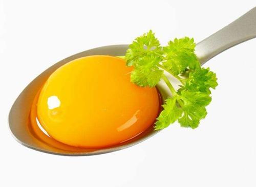 泰迪褪色了恢复有妙招吗,泰迪褪色怎么恢复快