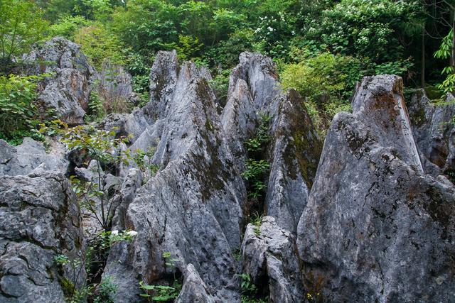 小平故里到华蓥山花海人家要多远,广安华蓥山小平故里