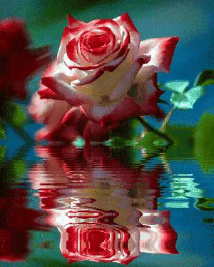 这是我见过最美丽的风景用英语,这是我见过最美的风景啥意思