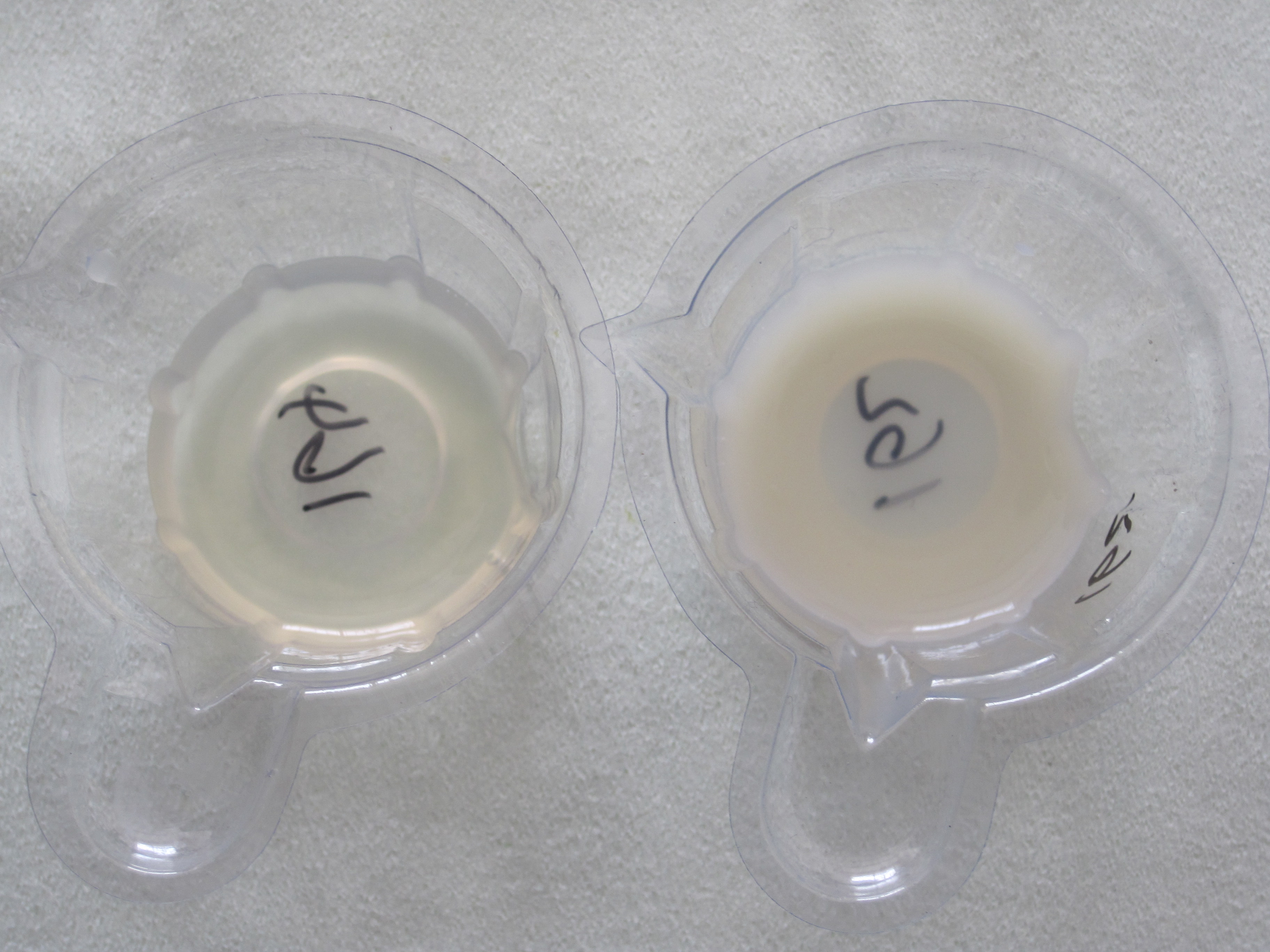 详解精液的粘滞性,给你更多的欣快感