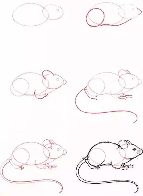 1-10数字动物简笔画图片大全,简笔画小动物100种可爱海底动物