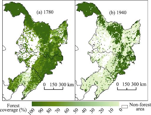2015年林蛙多少钱一斤,2020年林蛙