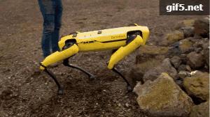 看过机器人拉黄包车吗?波士顿动力机器人满足你的好奇心