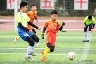 成都运动设施最全的地方,成都免费运动场