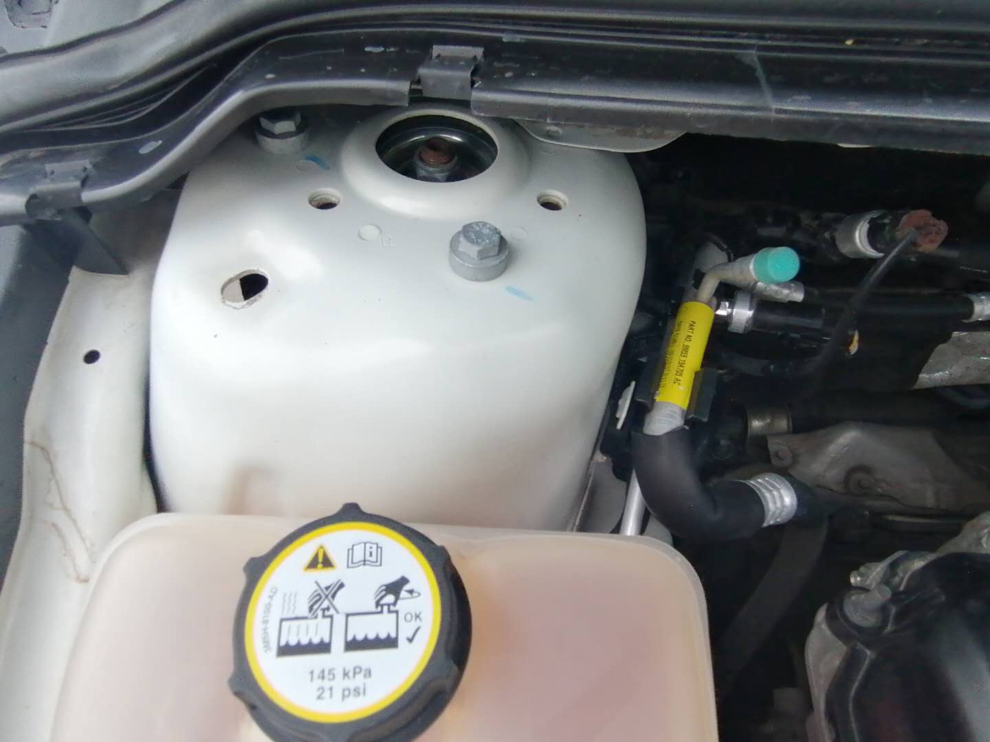 2019福克斯试驾视频胖哥,胖哥试驾福克斯1.5t