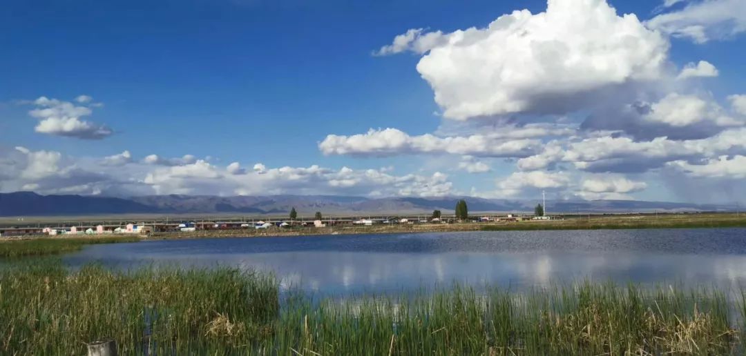 巴里坤旅途,巴里坤采风