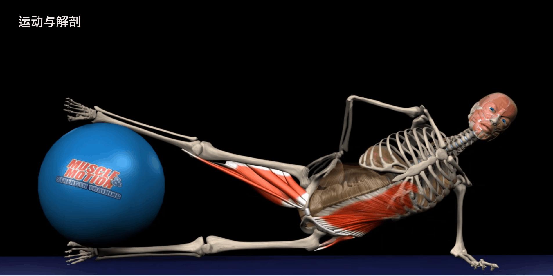 给大家示范一下练腹肌最好办法,又快又有效又简单的腹肌怎么练