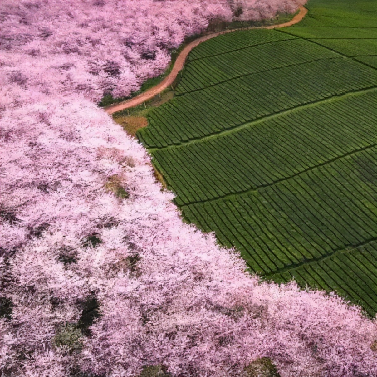 品味人生家居服,品味人生家具图片