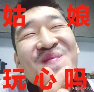 那些红遍全国的东北土话都是怎么来的？