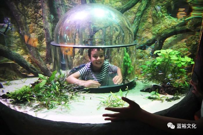 这就是你心心念念的德国乐高乐园-蓝裕文化