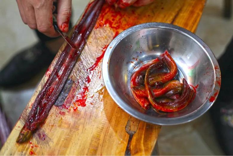 黄鳝，淡水水族中的小角色，凭什么成了直播时代的网红