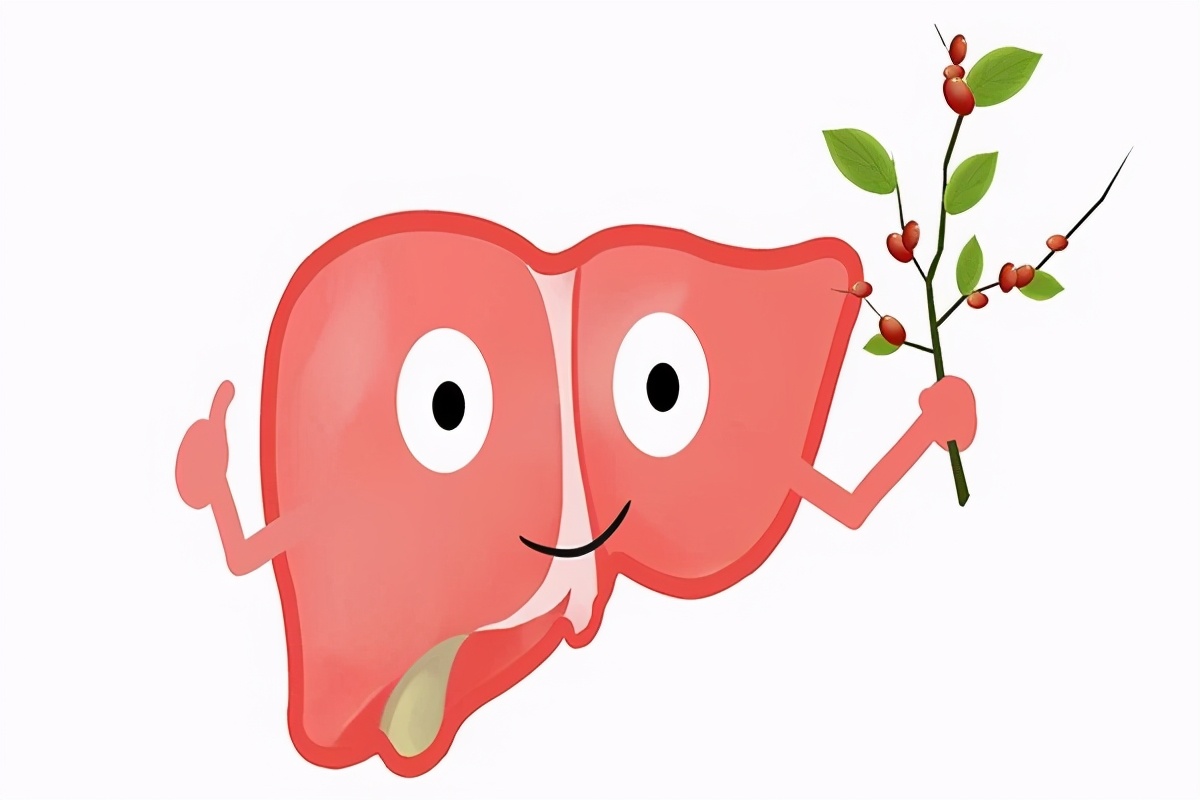 口干口苦养肝护肝茶降火,养肝护肝降火吃什么食物