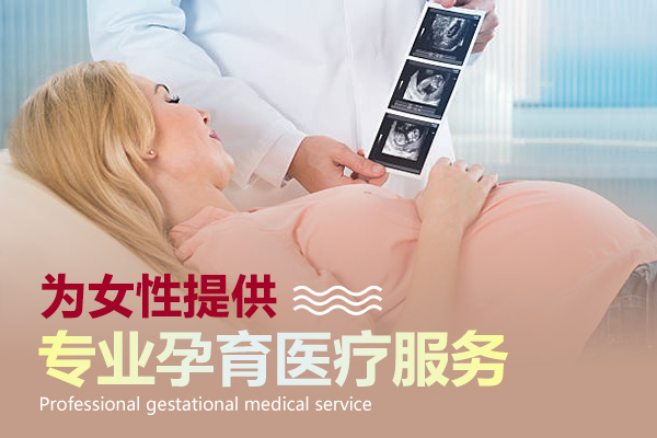 刘建珍云南,刘建珍