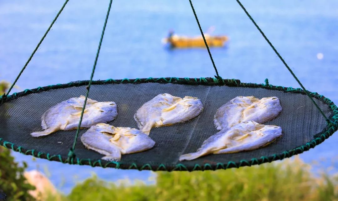 20岁一个人必去旅游的地方,20个旅行城市