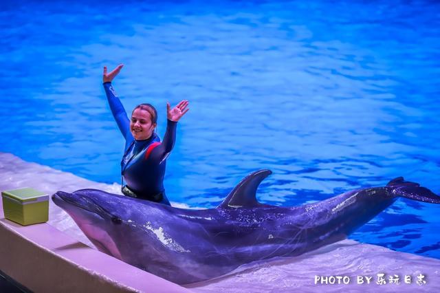 来珠海旅游必打卡的景点,春节珠海亲子游玩地方推荐