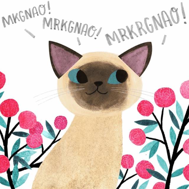 姑娘1天画1只猫坚持了100天 (坚持画猫100天的姑娘太有才了)