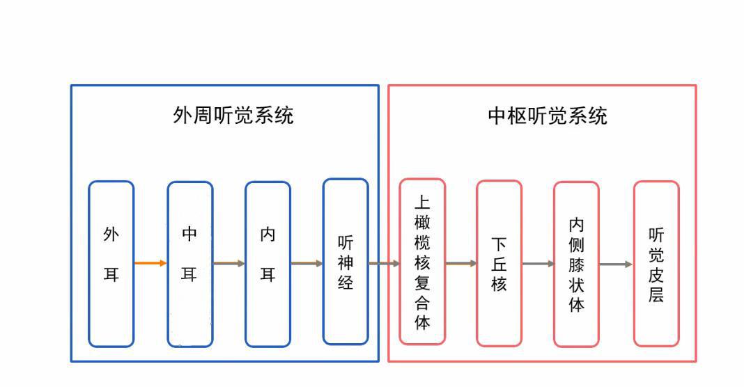 第一次戴助听器要知道的事情,科普佩戴助听器有哪些常见误区