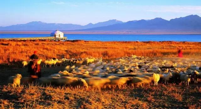 鍘熸潵鎴戜滑鐢樿們鏈夎繖涔堢編,浣犱互涓虹殑鐢樿們寰堢編