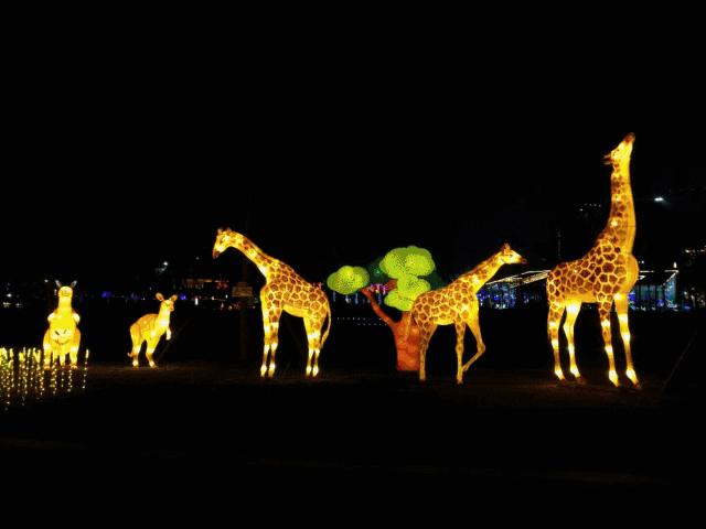 几十块钱玩一天,几十块钱玩一天天津