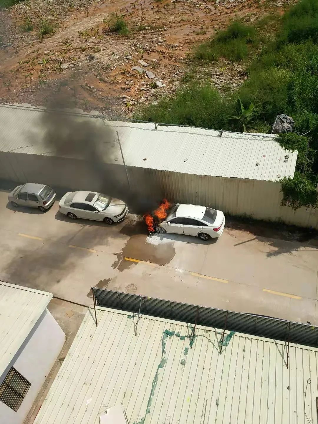 本田暴跌,凌派销量惨淡