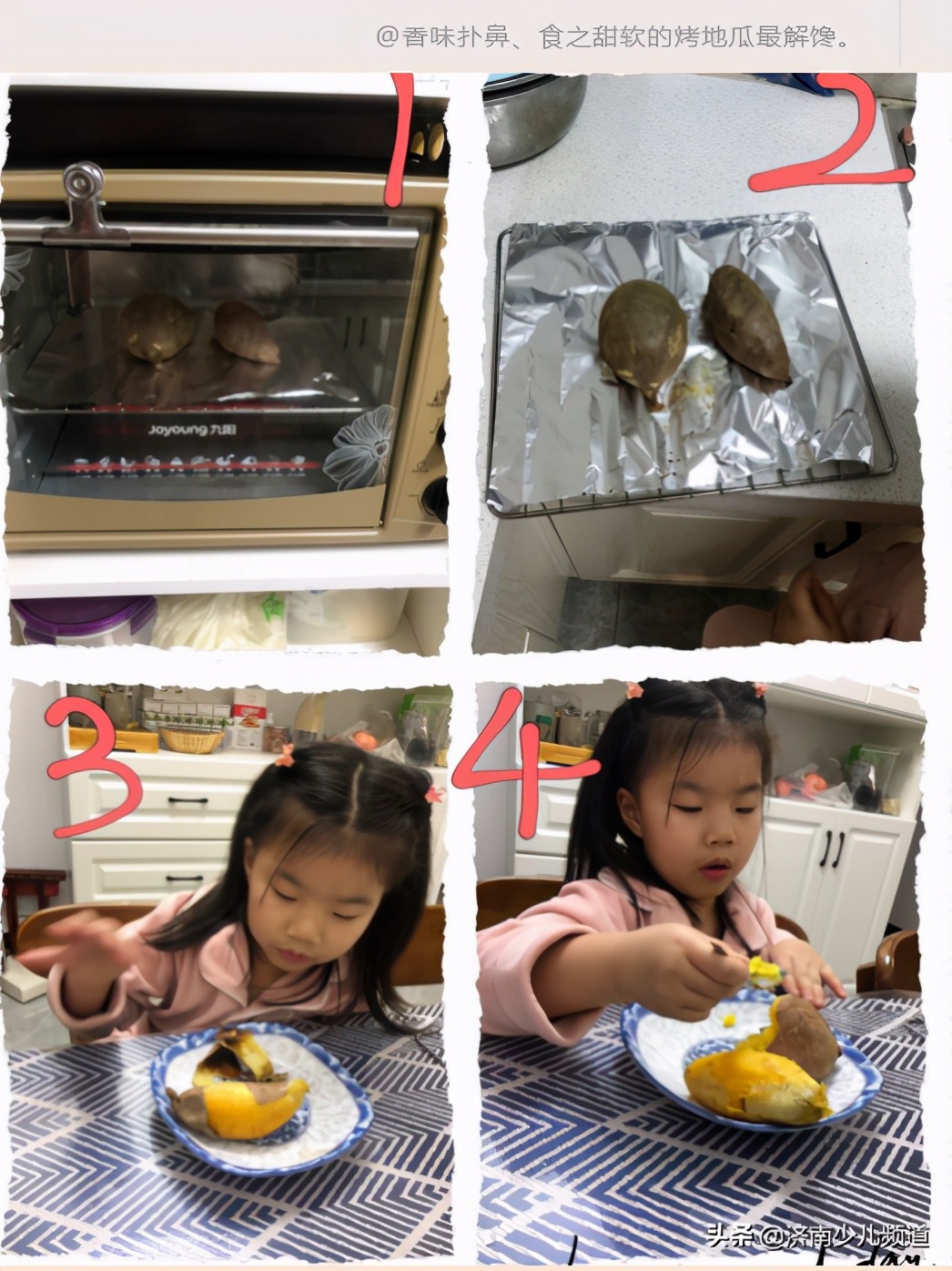 幼儿园红薯生成课活动方案,幼儿园科学教案红薯的成长过程