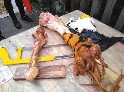 哪九种文玩不准卖,千万不能买的文玩有哪些