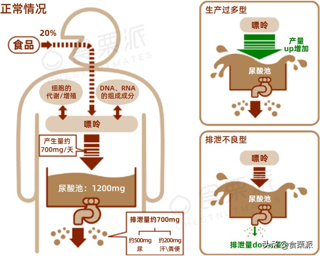 痛风人一日三餐食谱,痛风三餐怎么吃