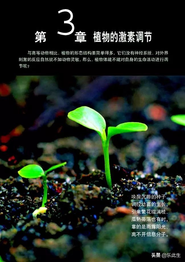 高中生物必修3电子教材,必修三稳态与环境的知识点人教版