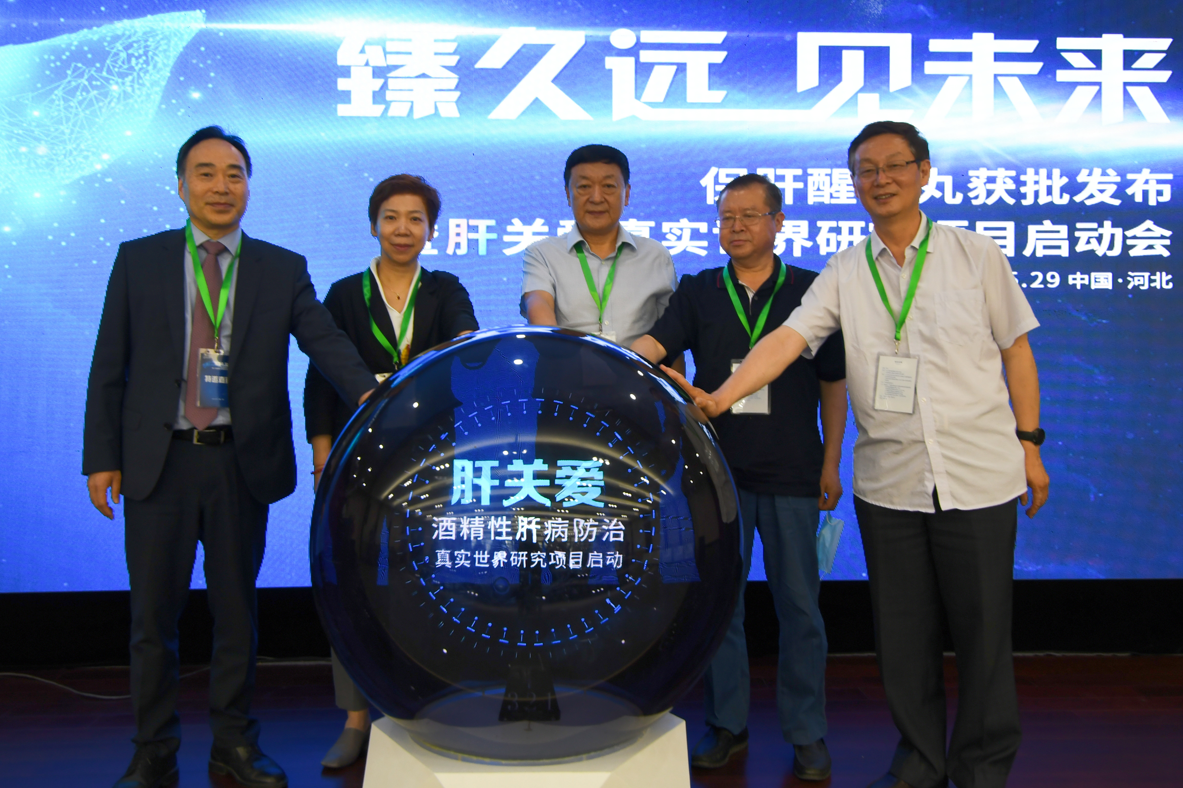 解酒护肝药丸,解酒药抑制肝损伤