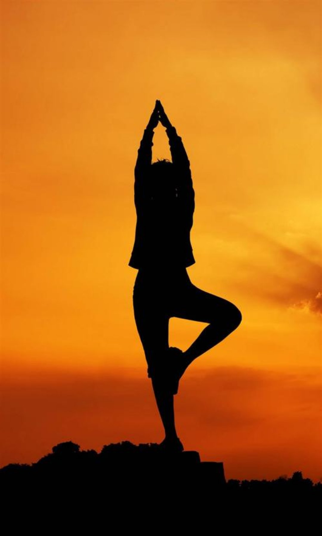 ted第一期运动能改变我们的大脑,ted演讲运动带来的好处