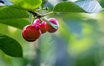 足球励志精辟感言,足球哲理与人生思考
