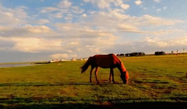 这些中国之最你知道吗,中国之最全部视频